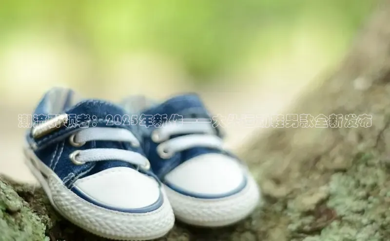 必一运动bsport体育