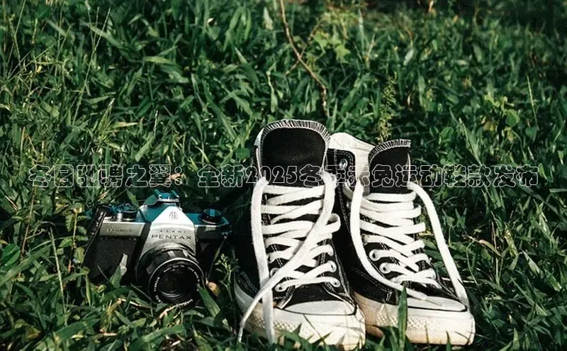 B—sports红标版本